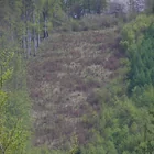 20112308130806-498.jpg